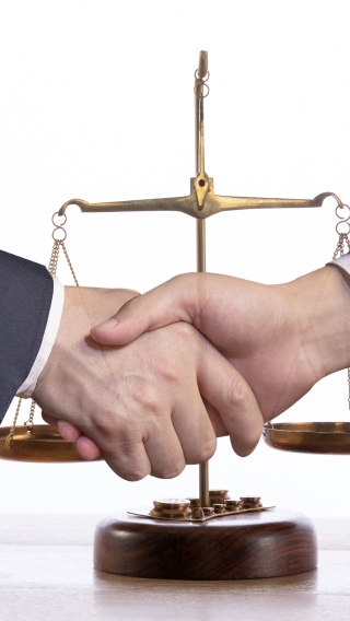 The programme formulates the Company's antitrust compliance system and supervises its implementation by all relevant business departments and personnel, to ensure that antitrust compliance requirements are integrated across business areas. The ensure our program ensures that: <br />
<br />
Dahua operates with integrity and respect towards its customers, meeting their expectations for high-quality products and services.<br />
<br />
Dahua supports all initiatives to promote and protect competition, and opposes and prohibits any business practices designed to prevent, restrict or distort competition, such as price fixing, market or customer allocation. Dahua complies with all applicable antitrust laws and regulations. <br />
<br />
All business units and personnel shall avoid directly or indirectly engaging in monopolistic acts prohibited by laws and regulations or other antitrust violations.<br />