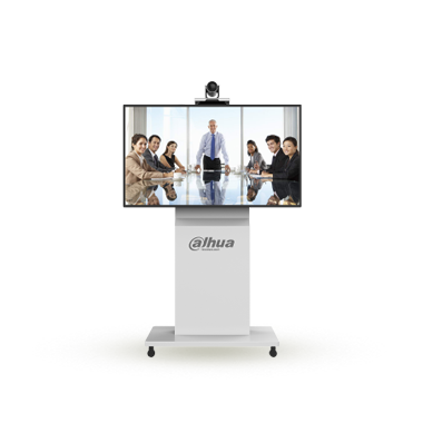 Telepresence Systems