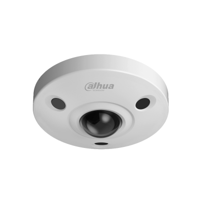 dahua wide angle ip camera