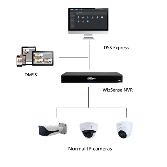 IP Cameras + WizSense NVR