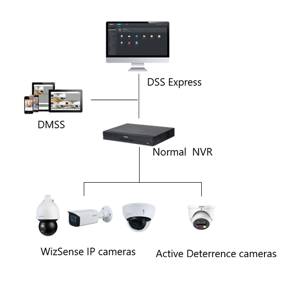 WizSense IP Cameras + Normal  NVR