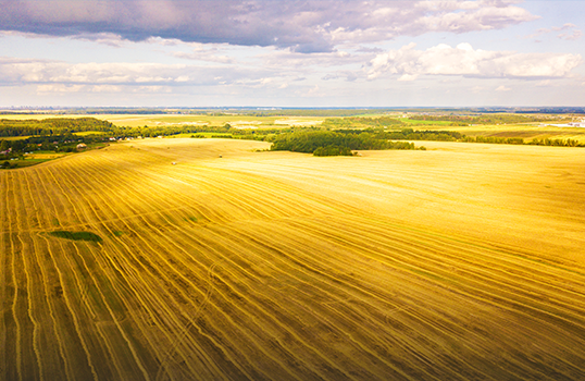 Aziende agricole