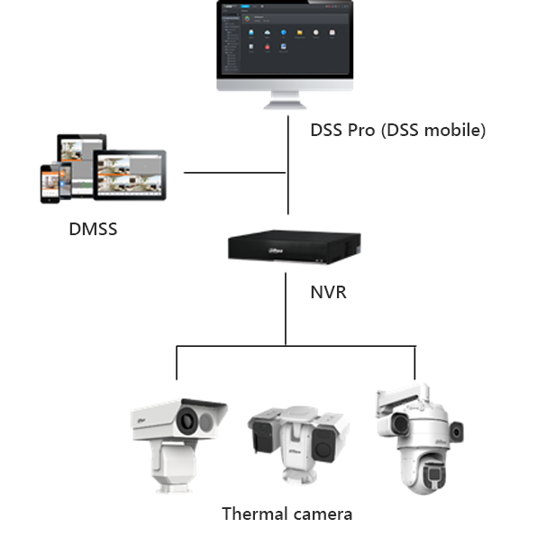 Thermal Cameras + NVR