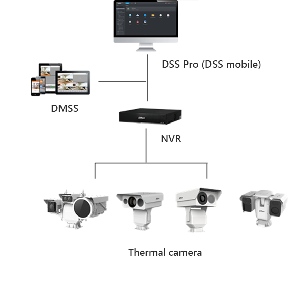 Thermal Cameras + NVR